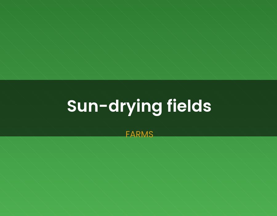 Sun-drying fields