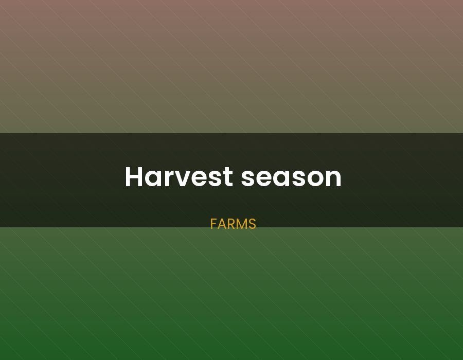 Harvest season